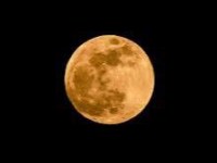 La Luna del Cervo: Rinnova la tua forza sotto la luce magica di&nbsp;luglio