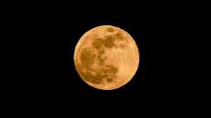 La Luna del Cervo: Rinnova la tua forza sotto la luce magica di&nbsp;luglio